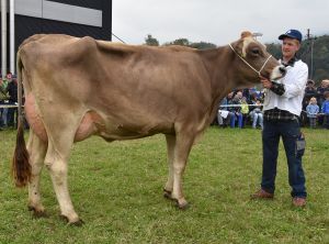 010Schneuter mittlere einzeln